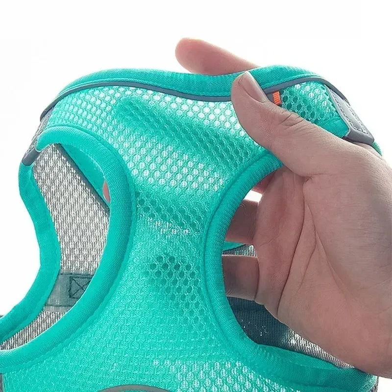 the TINYTREK HARNESS SET - Puppy Harness Set, Dog Accessories, Adjustable Puppy and Cat Harness Vest, French Bulldog, Chihuahua, Small Dog Collar, Pet Leash Dogs