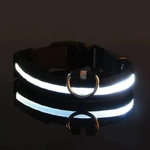 the GLOWTRAIL NIGHT COLLAR - BOOTEELY Nylon LED Night Safety Flashing Glow-in-the-Dark Dog Collar, Dogs Luminous Fluorescent Pet Dog Collar