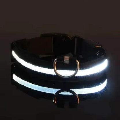 the GLOWTRAIL NIGHT COLLAR - BOOTEELY Nylon LED Night Safety Flashing Glow-in-the-Dark Dog Collar, Dogs Luminous Fluorescent Pet Dog Collar