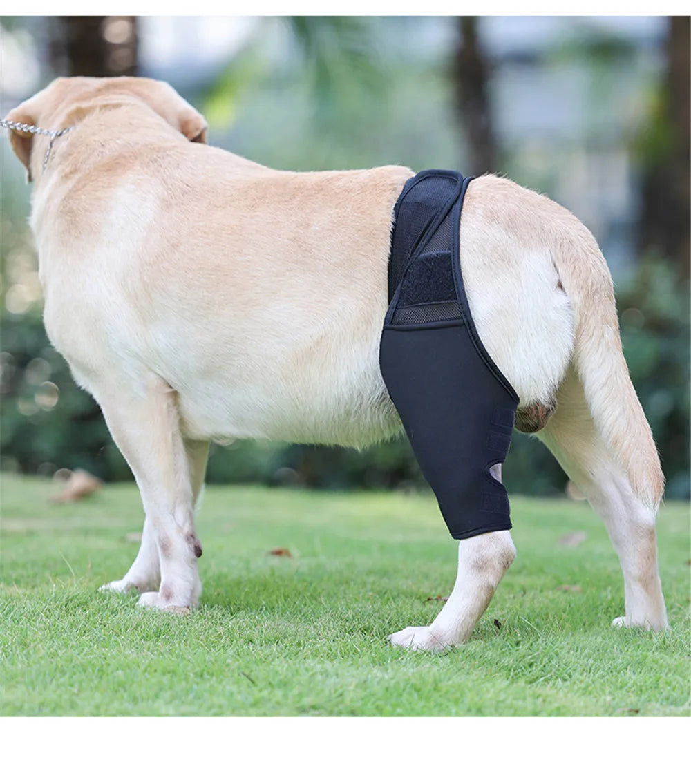 Dog Knee Brace Injury Recovery Fixed Support Brace Pet Leg Pain Relief Joint Wrap Brace For Elderly Disabled Injured Dogs