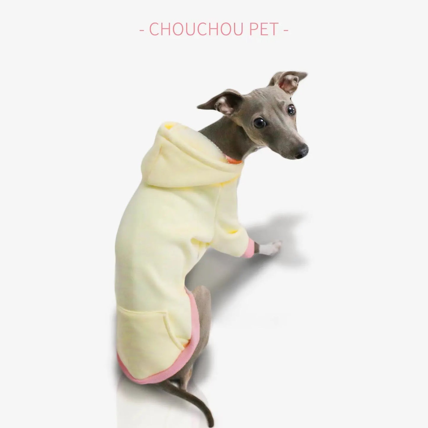 Spring new hooded pet sweatshirt Italian iggy coat Whippet sweatshirt suitable for small and medium-sized dogs