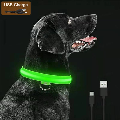 the TRIGLOW SAFETY COLLAR - 3 Modes Dog Luminous Charge Collar, Led USB Cat/Dogs Collars, Detachable Night LED Glow, Dog Loss Prevention Collar, Pet Accessories