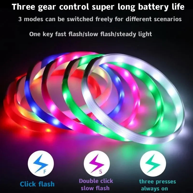 the NIGHTBEAM GLOW COLLAR - New Led Luminous Dog Collar, PVC Waterproof for Large/Medium/Small Dogs, Collar USB Light Night Safety, Pet Glowing Accessories