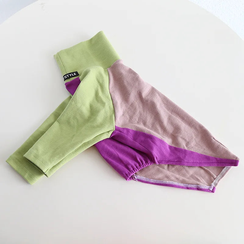 8colors Italian Greyhound Hound Two-Legged Clothes Fashionable Multicolor Soft Comfortable Elastic Fashion Patchwork Dog Clothes