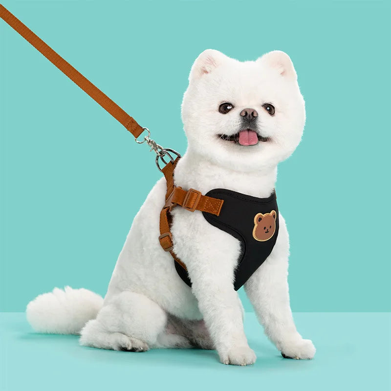 the BEARHUG HARNESS SET - Pet Dog Harness Leash Set, Small/Medium Dog/Cat Vest, Breathable Puppy Chest Strap, French Bulldog, Chihuahua Harness, Pet Supplies