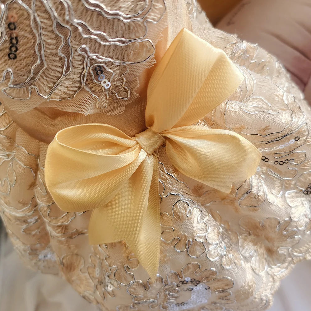 Dog Lace Wedding Dress Princess Dresses for Small Dogs Puppy Tutu Skirt Pet Birthday Party Costume Supplies for Spring Summer