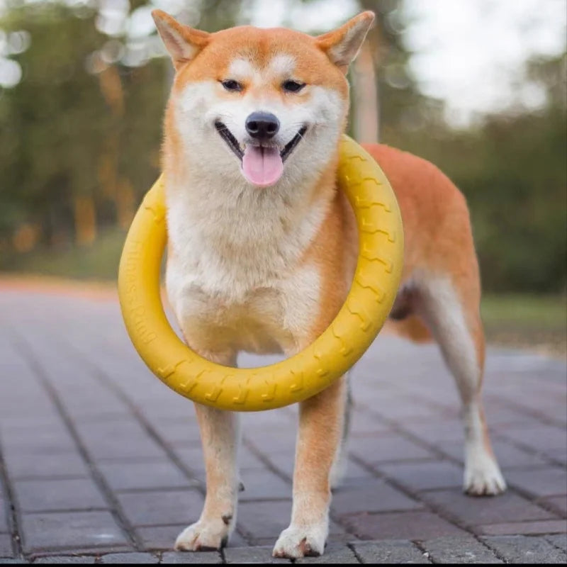 Dog Ring Toys Indestructible Chewing Flying Floating Training Tools Fetch for Small Medium Large Dogs Throwing Catching Flying