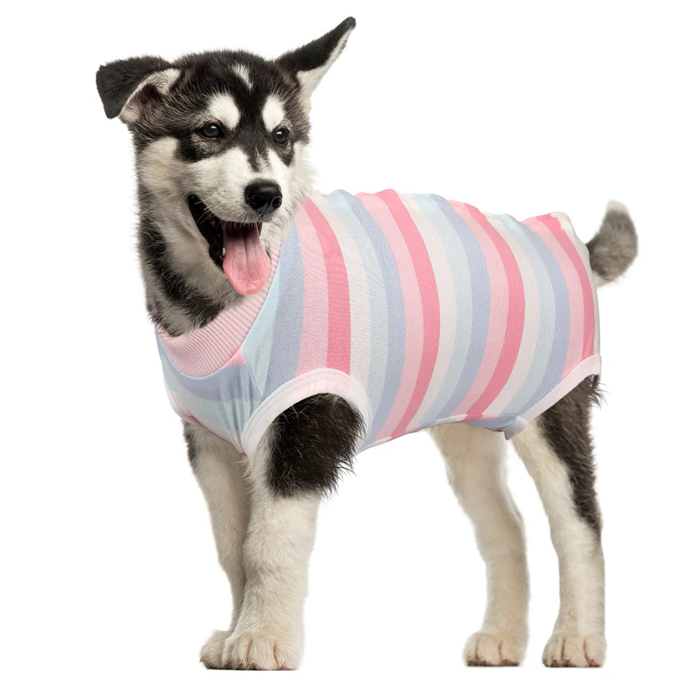 Recovery Suit for Dogs and Cats After Surgery Surgical Shirt for Female Male Pets Cone E-Collar Alternative Vest Prevent Licking