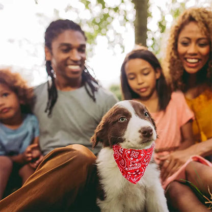 Adjustable Pet Puppy Cat Scarf For Cat Small Medium Large Dogs Bandana Collar Birthday Party Dress Up Pet Accessories