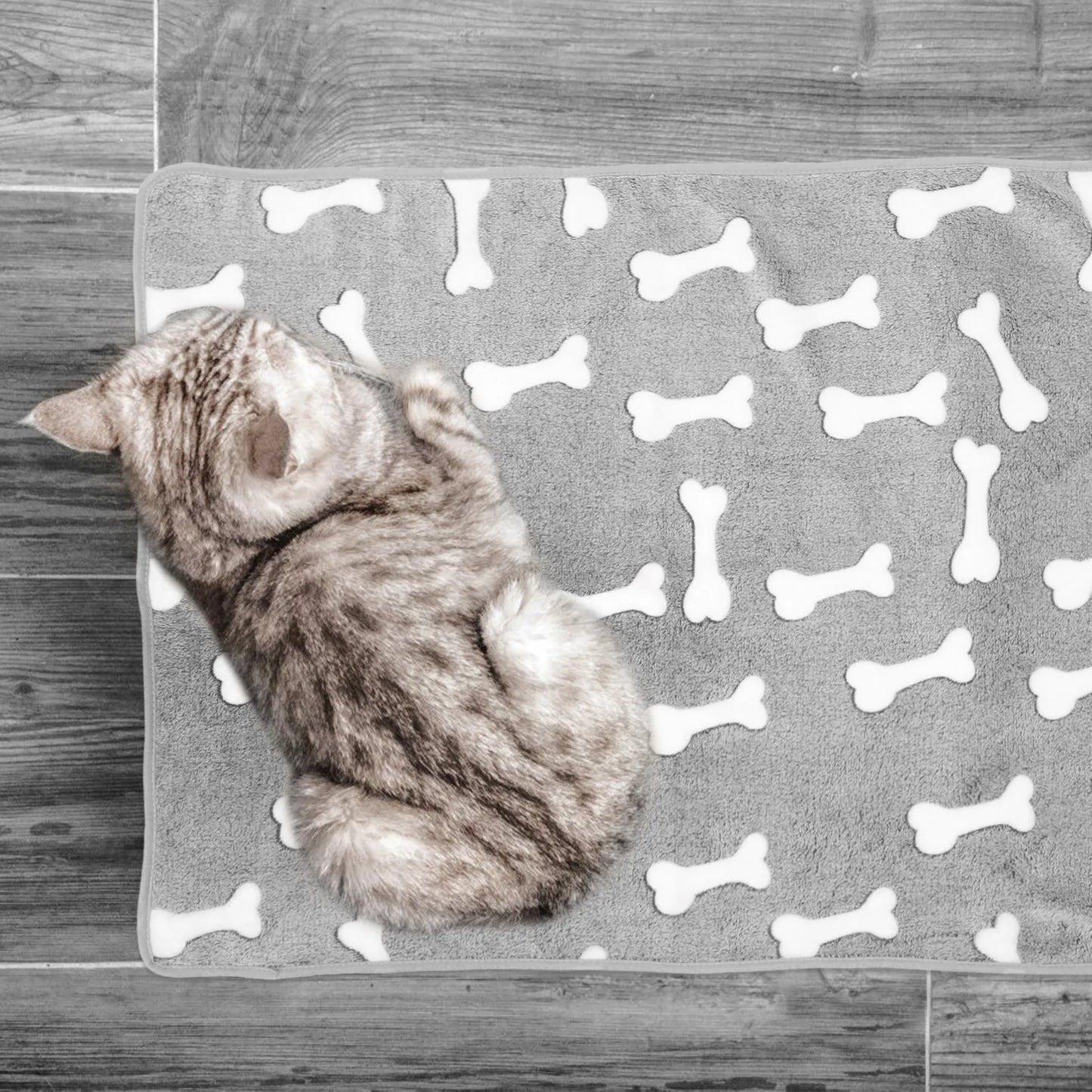 Coral Fleece Dog Cat Blanket Comfortable Warm Pet Bed Throw Blanket Sofa Use Winter Essential Sleeping Mat Comfortable Cat Blank