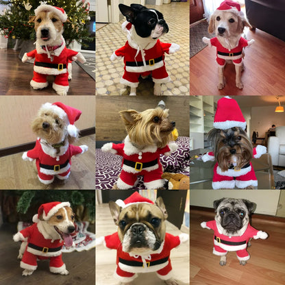 the SANTA PAWS HOLIDAY PET COSTUME - Christmas Dog Santa Claus Outfits for Small/Medium Dogs, Funny Cosplay Costume, Cat/Dog Clothing, Dressed Up Yorkshire, Pug Pet Clothes