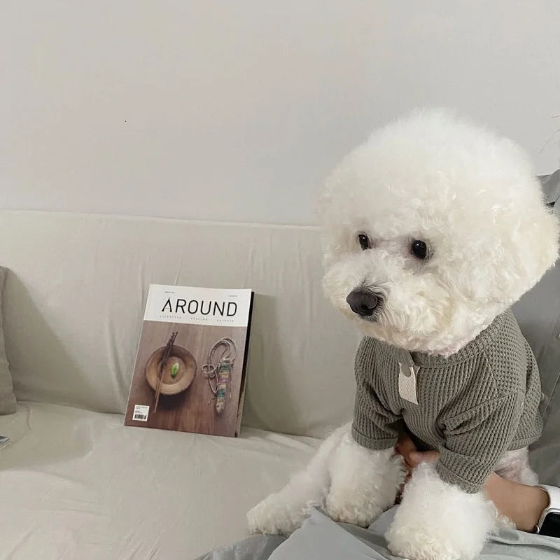 Autumn Winter Thin Warm Dog Pullover Solid Dog Hoodies Pet Vest Girls Dog Costume Chihuahua Bichon Clothing Letter Cat Dog Shirt