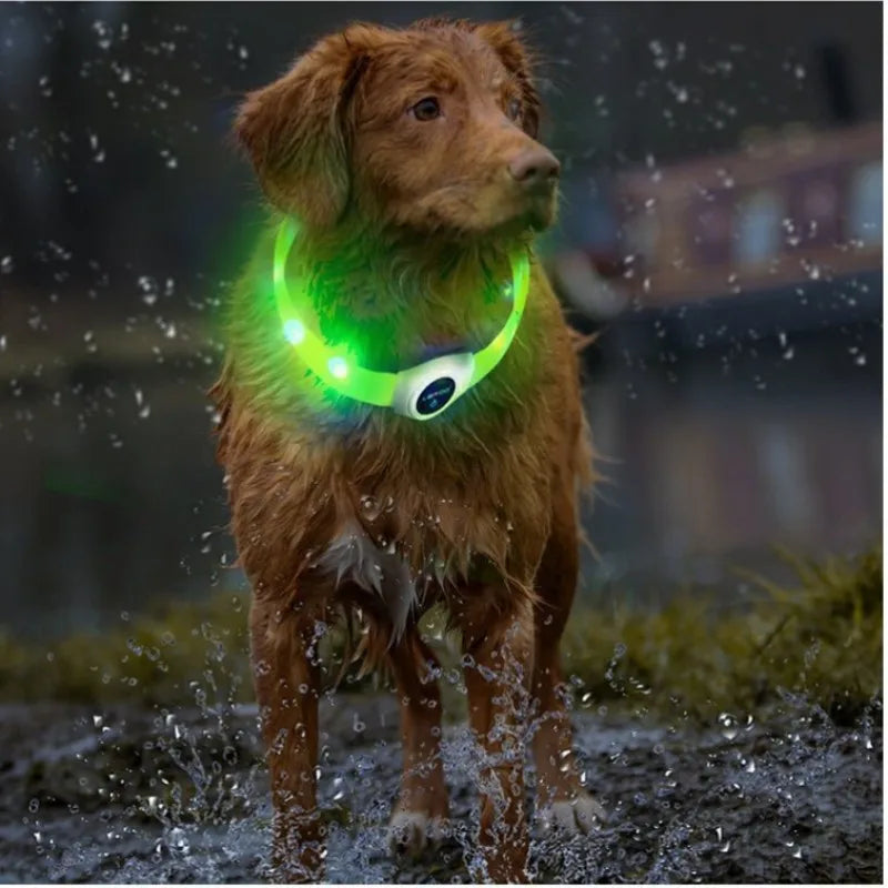 the NIGHTBEAM GLOW COLLAR - New Led Luminous Dog Collar, PVC Waterproof for Large/Medium/Small Dogs, Collar USB Light Night Safety, Pet Glowing Accessories