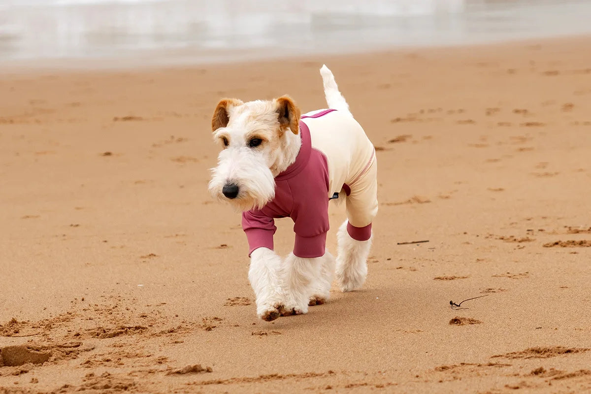 Summer Cooling Dog Vest Shirt UPF50+ Sun Protection Dog Jumpsuit Fast Drying Dirt-Proof Dog Clothing Soft Summer Outdoor Overall