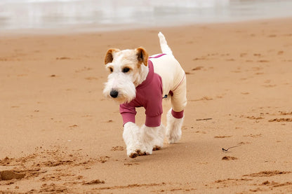 Summer Cooling Dog Vest Shirt UPF50+ Sun Protection Dog Jumpsuit Fast Drying Dirt-Proof Dog Clothing Soft Summer Outdoor Overall