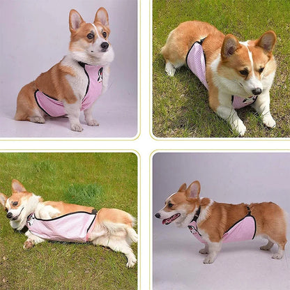 Dog Belly Cover Breathable Dog Cloth Anti-Dirty Waterproof Belly Bands Washable Pet Cloth Indoor Outdoor Dog Apron Pets Costumes