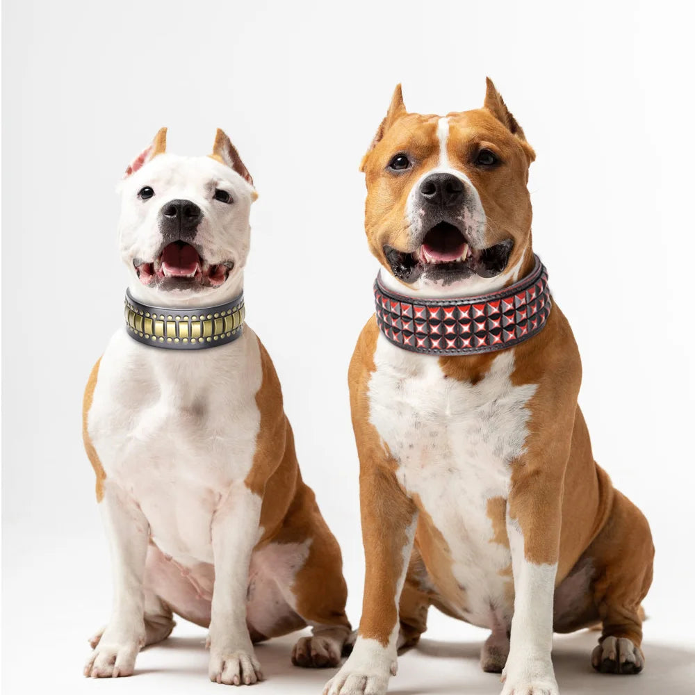 the STUD & SPARK ELITE COLLAR - Luxurious Dog Real Leather Collar, Cool Spiked Studded Pet Collars, Jeweled Leather Dogs Collars, Necklace for Pet Show, Bulldog