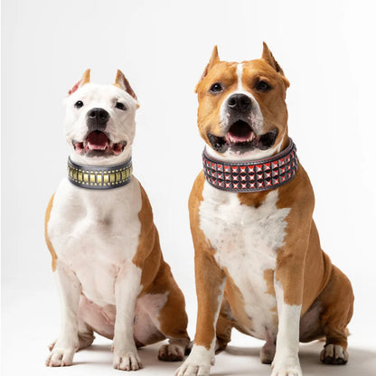 the STUD & SPARK ELITE COLLAR - Luxurious Dog Real Leather Collar, Cool Spiked Studded Pet Collars, Jeweled Leather Dogs Collars, Necklace for Pet Show, Bulldog