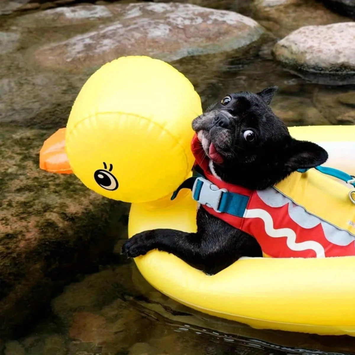 2in1 Dogs Pool Float Inflatable Foldable Pvc Dog Swimming Pool Yellow Duck Float for 22 Lb Pets Summer Pool Interactive Pet Toys