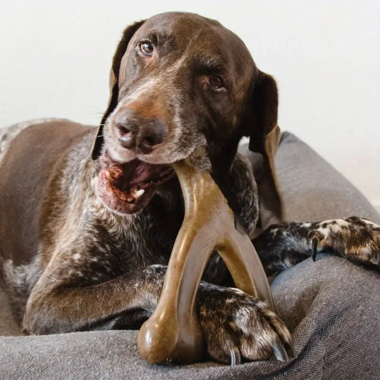 WishBone Warrior™ | Indestructible Wishbone Dog Chew Toy | Dog Paw Clothing
