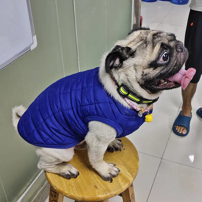 Winter Warm Dog Clothes for Small Dogs Puppy Cat Coat Soft Fleece Linner Pet Jacket Chihuahua Vest Pug Outfits Yorkie Costume