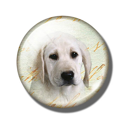 Yellow Brown Dachshund 30MM Fridge Magnet Handmade Weiner Dog Glass DomeRefrigerator Magnets Sticker Cute Animals Kitchen Decor