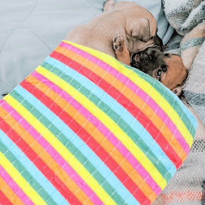 1Pcs Pet Blanket Flannel Rainbow Warm Cozy Blanket Dog Cat Bed Mat Sleep Cover Soft Durable Indoor Outdoor Dog Bed Mat
