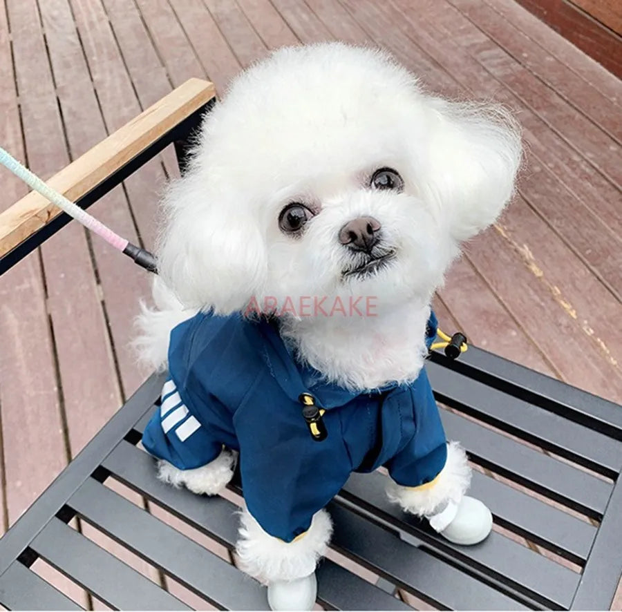 the RAINGUARD FOUR-LEG RAINCOAT - Little Dog Raincoat, Four-Legged Waterproof, Teddy Bear, Schnauzer, Small Dog Pet, Walking Dog in Rainy Days