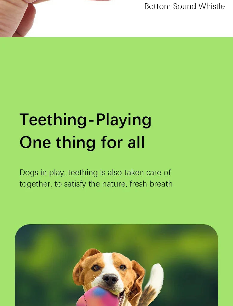 Dog Latex Toys Interactive Games Stretchable Dragon Eggs Teething Playing Easy Clean Squeeze Transform Sound Toys Pet Supplies