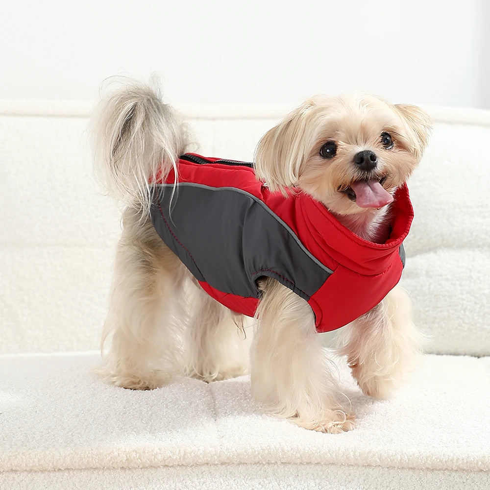 Pet Dog Clothes Autumn Winter Warm Puppy Coat Jacket For Small Medium Dogs Clothing with D-ring Reflective Chihuahua Pug Costume