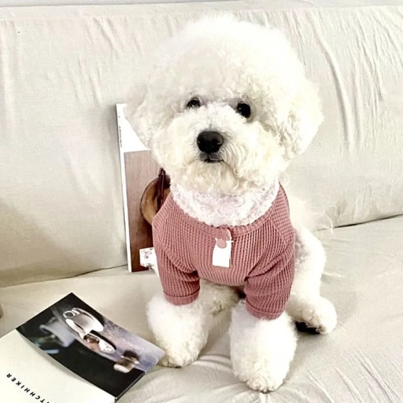 Pet Dog Shirt for Small Dogs Fashion Dog Clothes Spring Puppy Pullovers Cute Solid Cat Bottoming Shirt Pet Sweatshirts Dog Vest