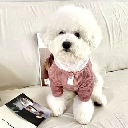 Pet Dog Shirt for Small Dogs Fashion Dog Clothes Spring Puppy Pullovers Cute Solid Cat Bottoming Shirt Pet Sweatshirts Dog Vest