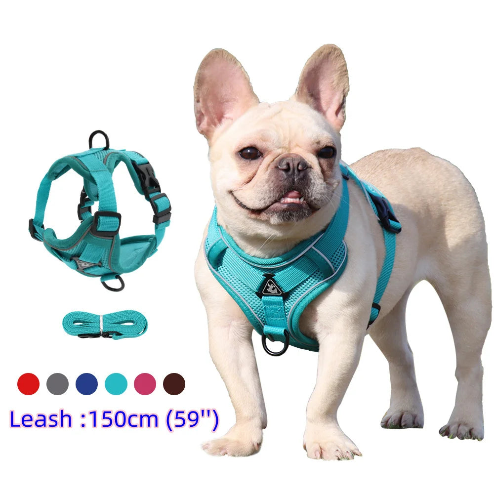 the PAWCOUTURE HARNESS - Harness and Leash Set, Pet Accessories, Dog Harness for Small Dog, French Bulldog, Pug, Pitbull Puppy Pectoral Collar, Dog Supplies