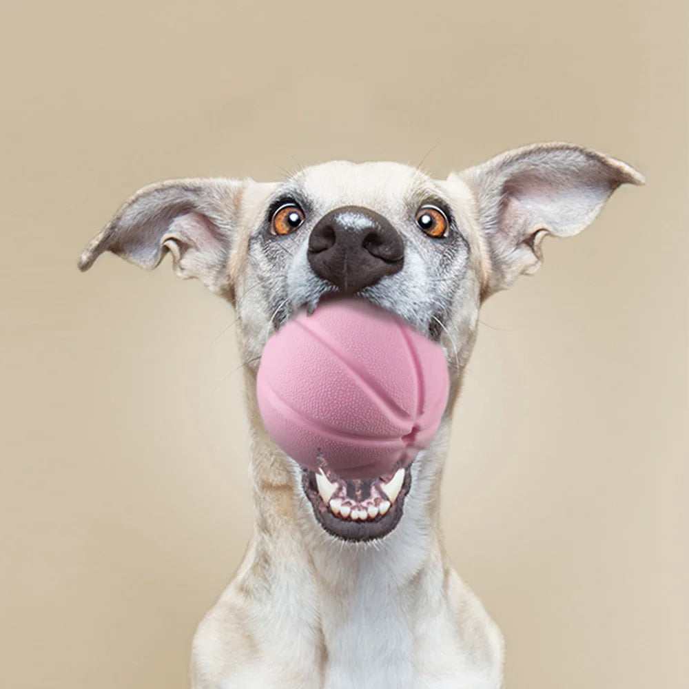 Dog Chew Toys - Interactive Squeaky Ball with Leakage Function for Teeth Cleaning & Boredom Relief, Durable TPR Material,