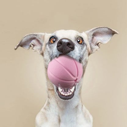 Dog Chew Toys - Interactive Squeaky Ball with Leakage Function for Teeth Cleaning & Boredom Relief, Durable TPR Material,