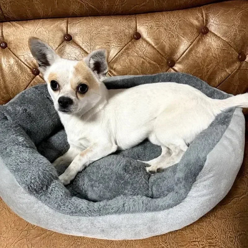 Very Soft Warm Dog Bed Pets Basket Cat House Sofa for Medium Large Dog Sofa Bed Cushion Dog Bed House Pet Supplies Accessories