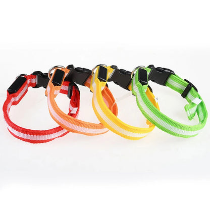 the GLOWTRAIL NIGHT COLLAR - BOOTEELY Nylon LED Night Safety Flashing Glow-in-the-Dark Dog Collar, Dogs Luminous Fluorescent Pet Dog Collar