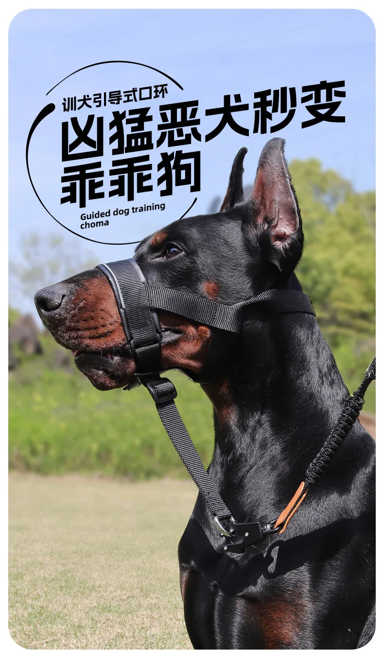 the MUZZLE STRAP - Dog Muzzle for Large/Medium Dogs – Anti-Bite, Anti-Bark Adjustable Pet Mouth Mask with Leash Loop, Training Walking Nylon Muzzle