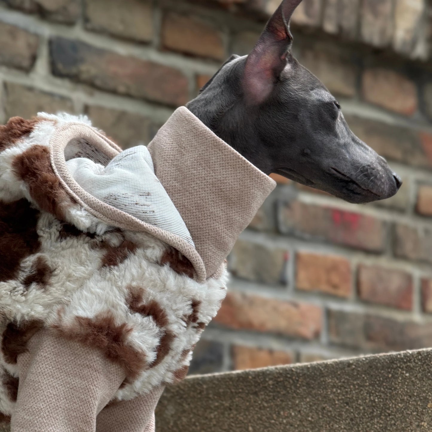 Hooded Leopard Sweater for Dogs in Winter Soft 4-legged False Two Fleece Coat for Greyhounds Warm High-neck Jumpsuit for Whippet