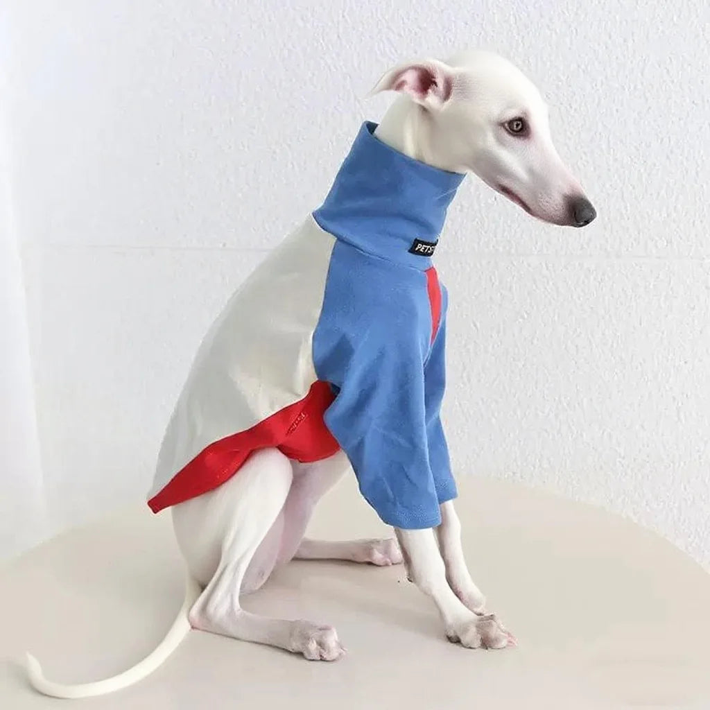 8colors Italian Greyhound Hound Two-Legged Clothes Fashionable Multicolor Soft Comfortable Elastic Fashion Patchwork Dog Clothes