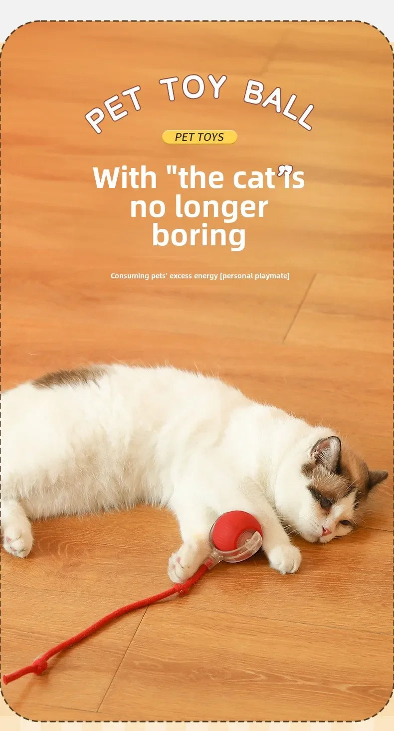 Interactive Dog Toys Rechargeable Pet Interactive Toys Electric Cats Ball  Automatic Rolling Fake Tail Ball Dog  Cats Toy