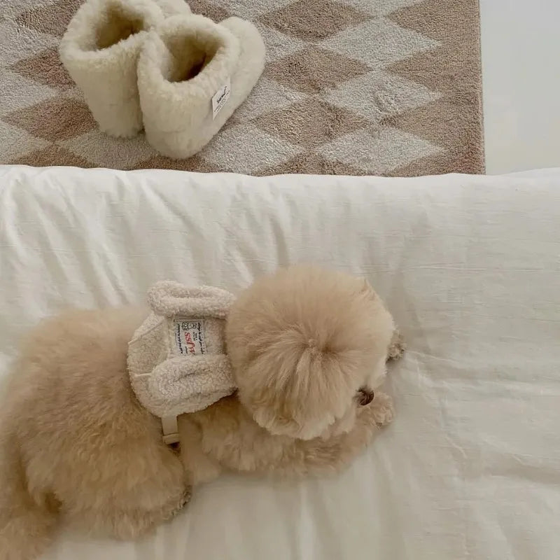 Ins Pet Dog Pet Outdoor Pets Plush Backpacks Backpack Snack Bags Teddy Decorations Dog Accessories for Small Dogs Dog Poop Bag