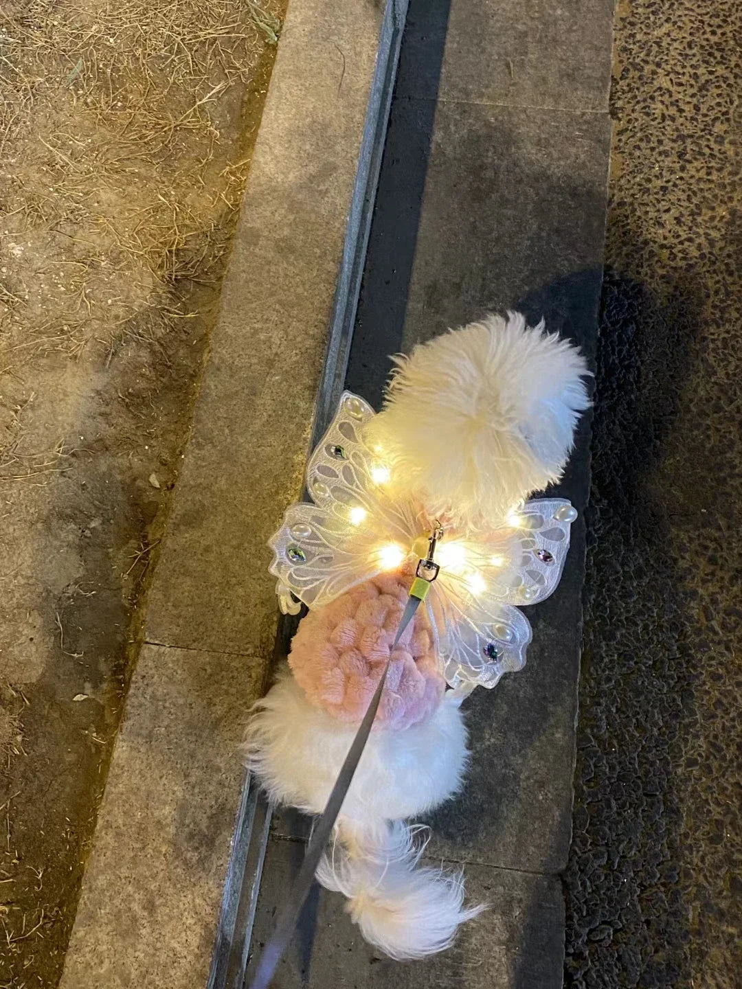 Dog wings glowing butterfly back decoration puppy summer clothes chest back decoration small dog Pomeranian Teddy Bigbear