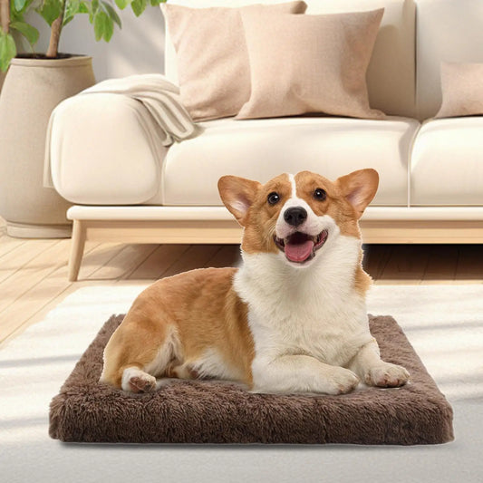 Soft Plush Dog Bed Cat Beds for Small Medium Large Dogs Removable for Cleaning Puppy Cushion Claming Dog Bed Dog Winter Supplies