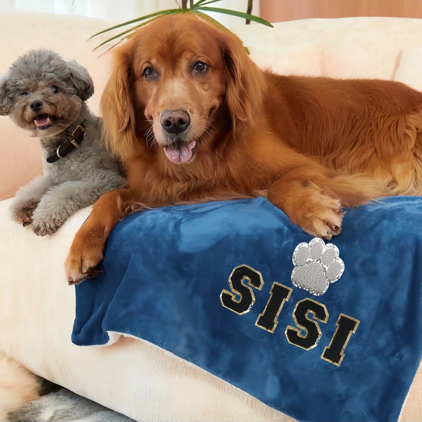 Pet Custom Name Blanket, Personalized Dog Name Blanket, Dog Memorial Blanket, Warm Dog Blanket,Letter color random