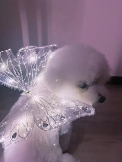 Dog wings glowing butterfly back decoration puppy summer clothes chest back decoration small dog Pomeranian Teddy Bigbear