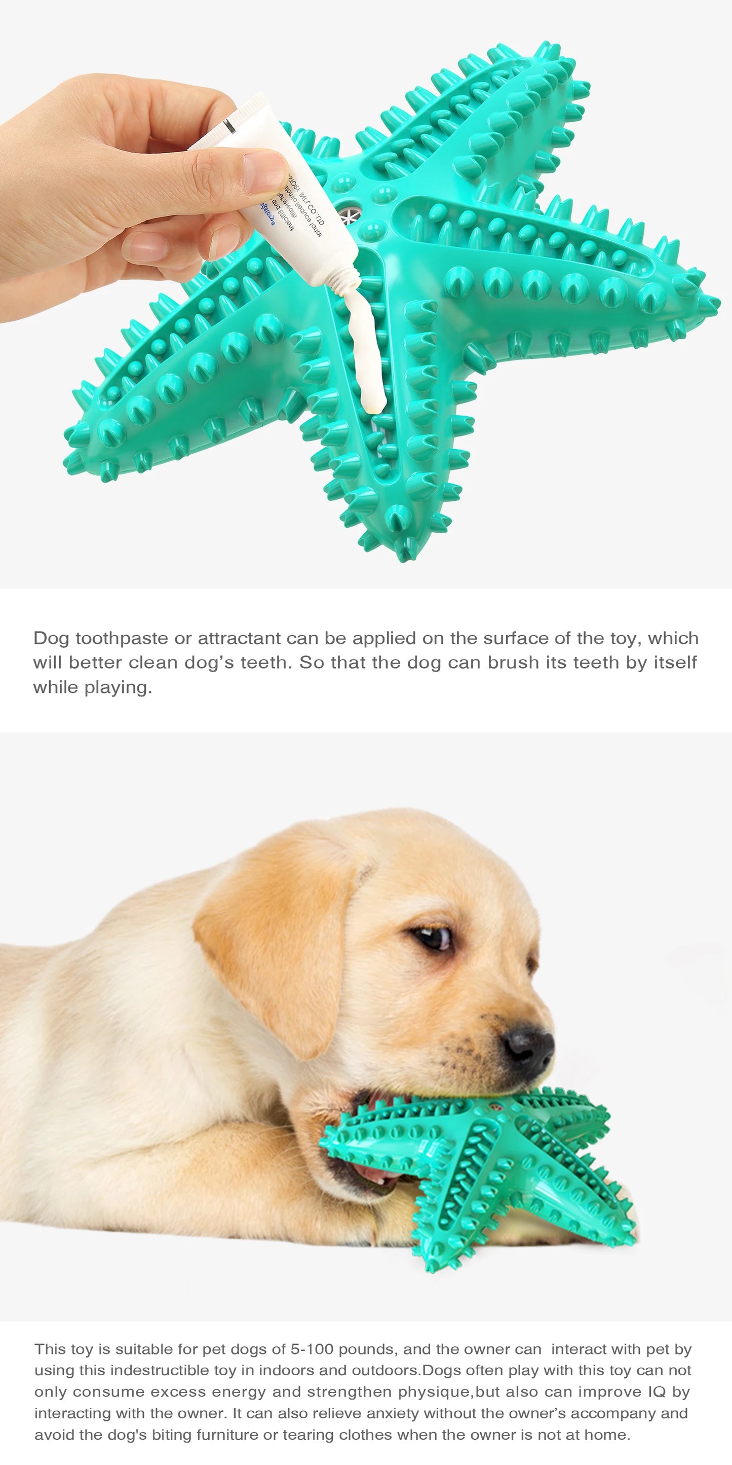 Squeak Toothbrush Chew Dog Toy Starfish Soft Rubber Puppy Plaything Interactive Chewing Dogs Toys With Sound Aggressive Chew Toy