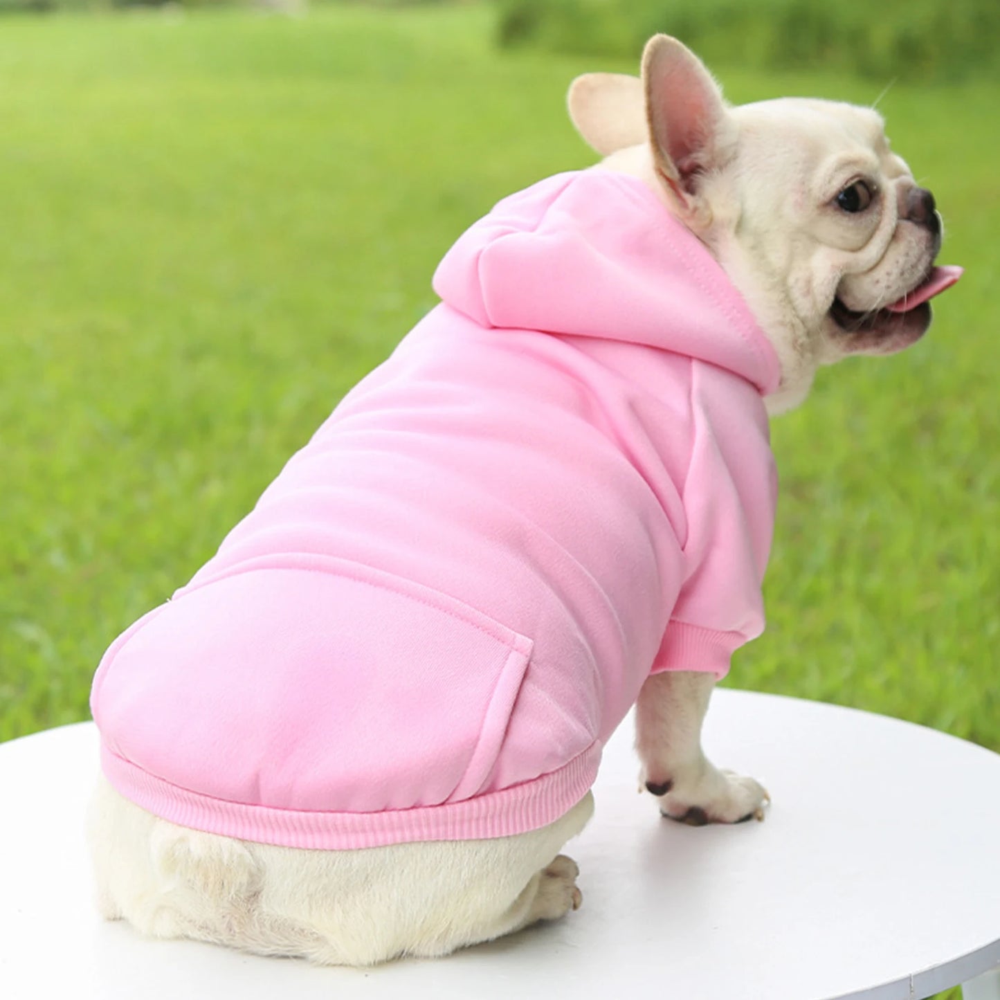 Fashion Dog Clothing Autumn And Winter Small Pet Clothes Thickening Warm Solid Color Two-Feet Hooded Wweater Casual Pet Products