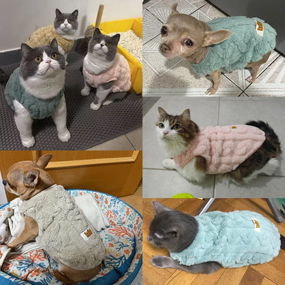 Autumn Winter Pet Cat Clothes Soft Fleece Vest Sweater For Small Dogs Cute Puppy Kitten Pullover Jacket Sphynx Cats Costumes