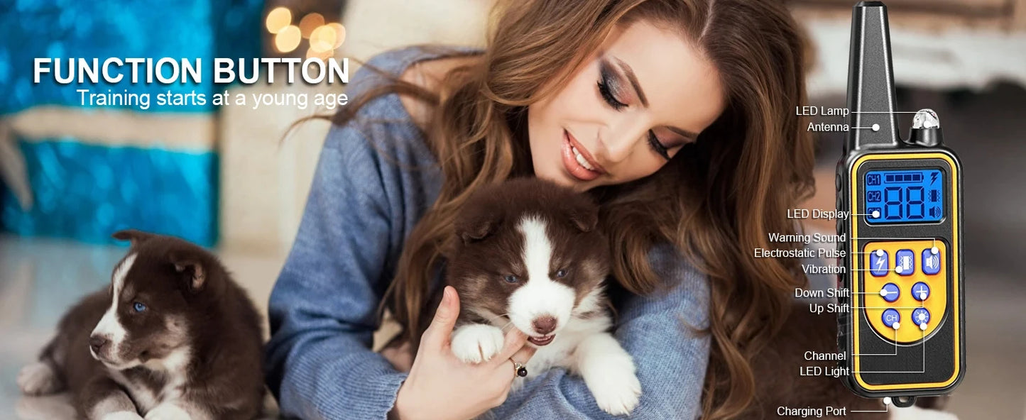 the POWERPULSE E-TRAINER - [New Edition] Dog Shock Collar with Remote - Dog Training Collar for Large/Medium/Small Dogs, Waterproof Rechargeable E-Collar